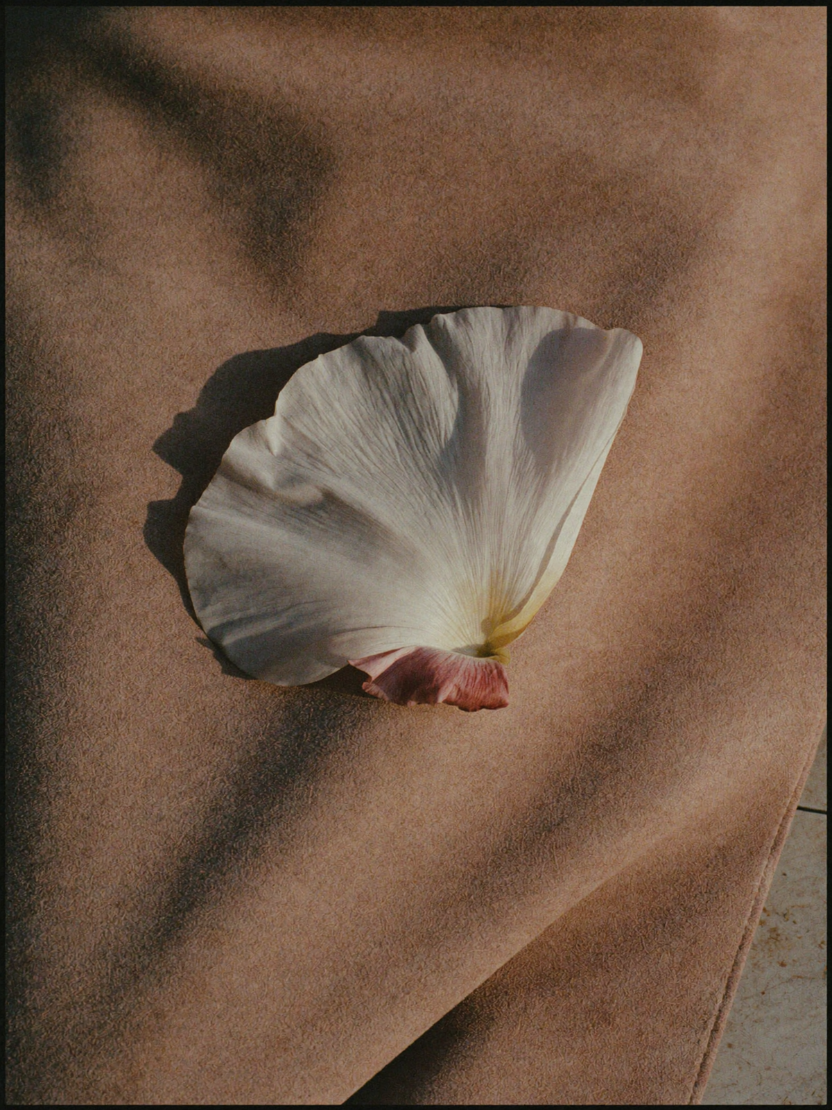 PEONY & BLUSH SUEDE